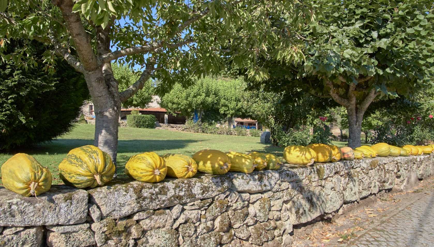 Quinta de Santo Estevão