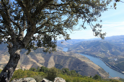 Mirador de São Leonardo da Galafura